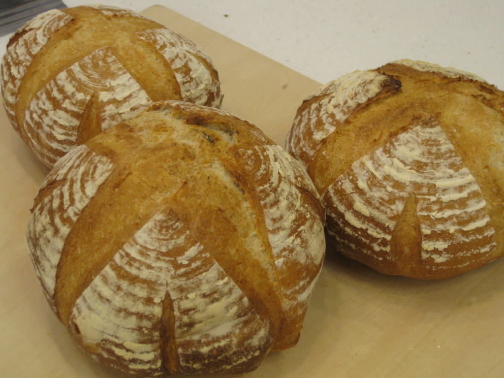 1115panndokannpa-nyu